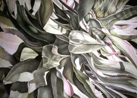 succulent I